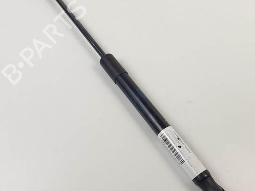 hood-lift-support-land-rover-range-rover-evoque-l551-2018-25256144 main image