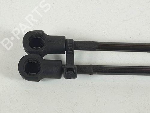 Hood lift support VOLVO S60 I (384) D5 | BP13960285C139 