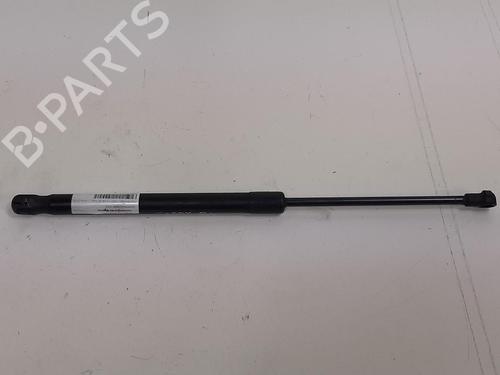 Used Hood lift support VW CADDY III MPV (2KB, 2KJ, 2CB, 2CJ) 1.9 TDI (105 hp) 13953204