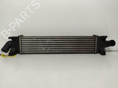 Used Intercooler Intercooler FORD C-MAX (DM2) 1.8 TDCi (115 hp) 8904982 8904982