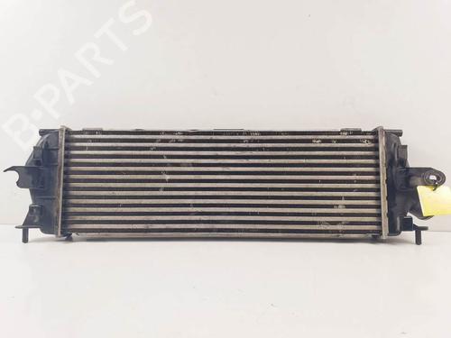Intercooler RENAULT TRAFIC II Bus (JL) 2.5 dCi 145 (JL0J) | BP29272098M30 - Image 5