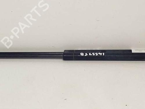 Used Tailgate lift support Tailgate lift support SEAT IBIZA III (6L1) 1.4 16V (75 hp) 19656946 19656946