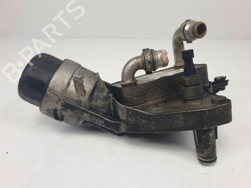 Oil radiator FIAT BRAVO II (198_) 1.6 D Multijet (198AXH1B) | BP13955454M33 
