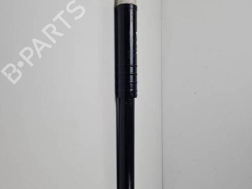 left-rear-shock-absorber-renault-clio-iv-bh_-2012-2013-2014-2015-2016-2017-2018-2019-2020-2021-25128920 main image