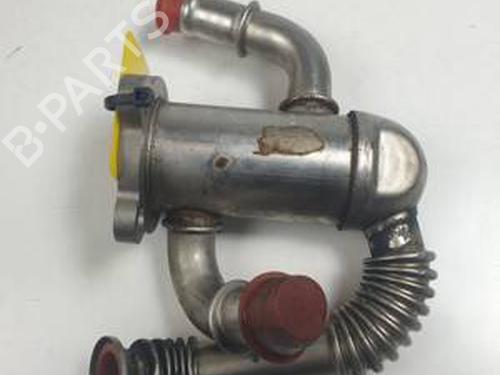 Used Egr FIAT 500 (312_) 1.3 D Multijet (312AXB1A) (75 hp) 30959289