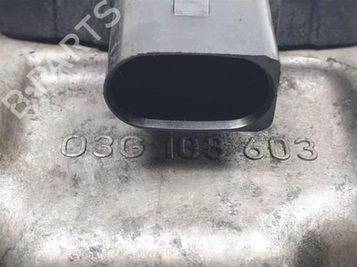 Oil sump VW CADDY III Box Body/MPV (2KA, 2KH, 2CA, 2CH) 1.6 TDI | BP13955775M115 