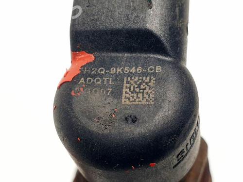 Injector LAND ROVER DISCOVERY III (L319) 2.7 TD 4x4 | BP23188114M100 