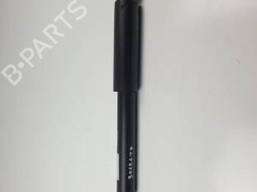 BP29245518M19 main image