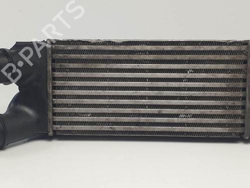 Used Intercooler Intercooler PEUGEOT PARTNER Box Body/MPV 1.6 HDi 16V 4x4 (90 hp) 20930427 20930427