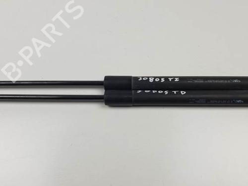 tailgate-lift-support-citroen-c3-ii-sc_-2009-28027574 main image