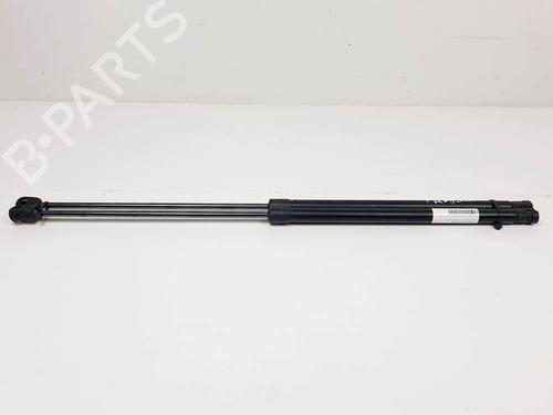 tailgate-lift-support-fiat-croma-194_-2005-2006-2007-2008-2009-2010-2011-25295438 main image