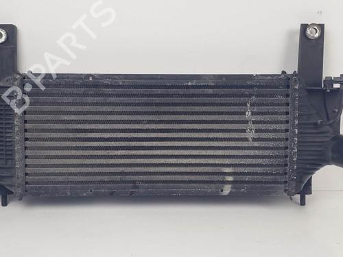 Used Intercooler Intercooler NISSAN PATHFINDER III (R51) 2.5 dCi (174 hp) 25262851 25262851