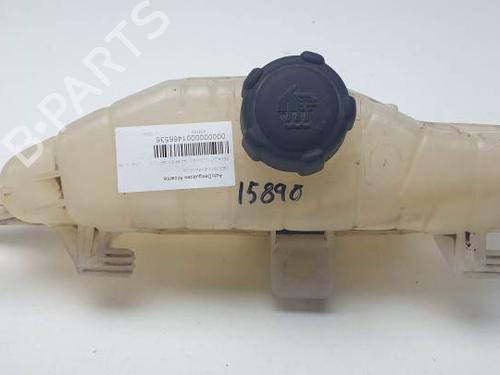 Expansion tank RENAULT CLIO III (BR0/1, CR0/1) 2.0 16V (BR0C, BR0K, CR0C, CR0K) | BP24930540C120 