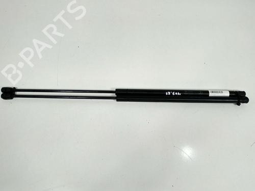 Used Hood lift support MERCEDES-BENZ E-CLASS T-Model (S211) E 220 T CDI (211.206) (150 hp) 13954146