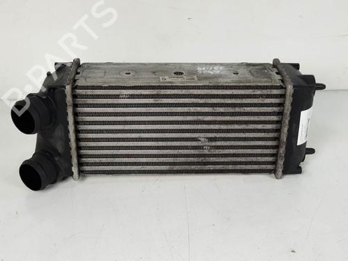 Used Intercooler Intercooler PEUGEOT 406 (8B) 2.2 HDi (133 hp) 6839836 6839836