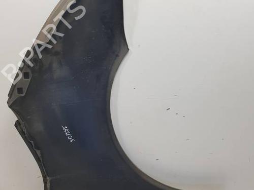 Left front fenders CITROËN C4 Grand Picasso I (UA_) 1.6 HDi | BP30191125C41