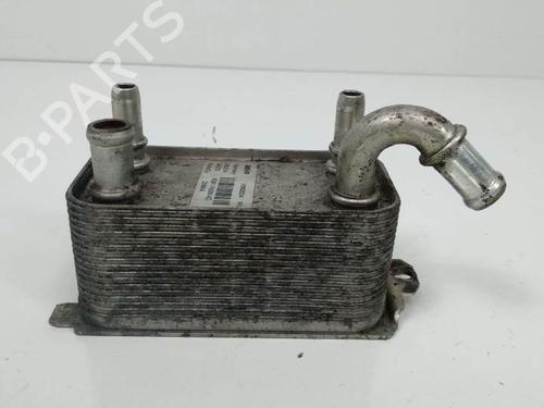 Oil radiator FORD GALAXY II (WA6) 2.0 TDCi | BP13954537M33 