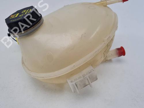 Ekpansionstank Ekpansionstank FORD ECOSPORT 1.0 EcoBoost (125 hp) 36290827 36290827