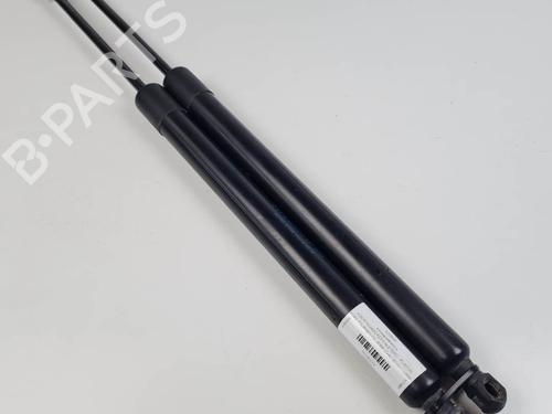 tailgate-lift-support-ford-tourneo-courier-b460-mpv-2014-25023191 main image