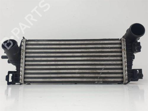 Intercooler FORD FOCUS III 1.0 EcoBoost (125 hp) 11021478