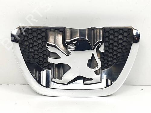Grill PEUGEOT 207 (WA_, WC_) 1.4 HDi (68 hp) 29989815