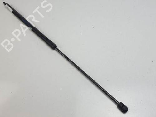 Used Hood lift support RENAULT MEGANE III Hatchback (BZ0/1_, B3_) 1.2 TCe (BZ2B, BZ11) (116 hp) 25140930