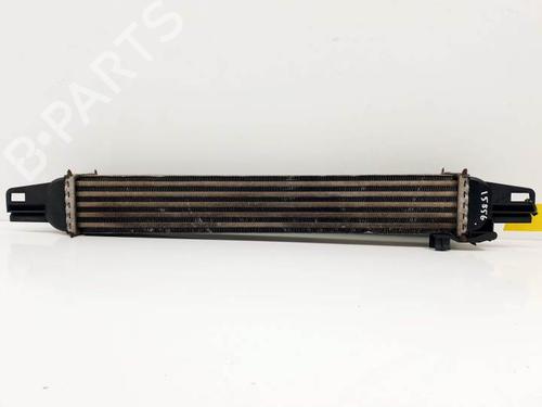 Intercooler CITROËN NEMO Box Body/MPV (AA_) 1.3 BlueHDi 80 | BP25116774M30 