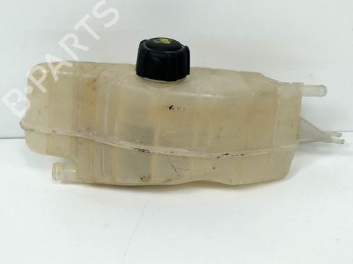 Ekpansionstank Ekpansionstank RENAULT CLIO III (BR0/1, CR0/1) 1.4 16V (98 hp) 8192187 8192187