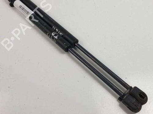 Used Tailgate lift support Tailgate lift support RENAULT MEGANE II (BM0/1_, CM0/1_) 1.6 16V (BM0C, CM0C) (113 hp) 25117764 25117764