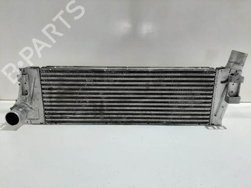 Used Intercooler Intercooler RENAULT MEGANE II Saloon (LM0/1_) 1.9 dCi (LM0G, LM1G, LM2C) (120 hp) 6862816 6862816