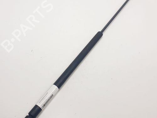 Used Hood lift support CITROËN XSARA (N1) 2.0 HDi 90 (90 hp) 17916105