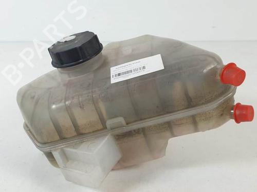 Used Expansion tank FORD FIESTA VI (CB1, CCN) 1.4 TDCi (70 hp) 17463005