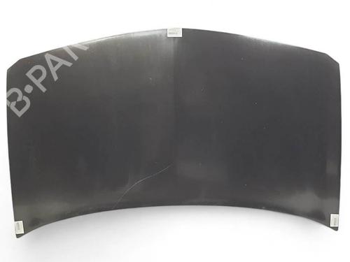 Capot Capot RENAULT MEGANE II (BM0/1_, CM0/1_) 1.6 16V (112 hp) 20101996 20101996