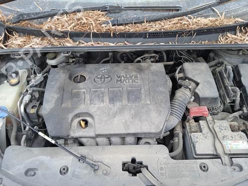  - Image 7