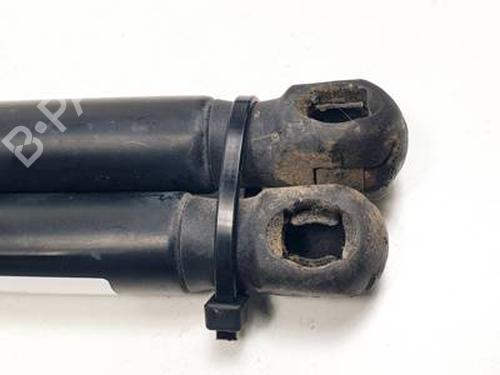 Tailgate lift support LAND ROVER RANGE ROVER EVOQUE (L538) 2.0 D | BP30919130C138