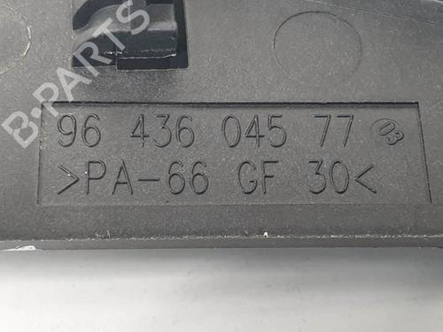 Front left interior door handle PEUGEOT 307 CC (3B) 1.6 16V | BP16960964I13 