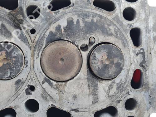 Cylinder head VW TRANSPORTER T4 Bus (70B, 70C, 7DB, 7DK, 70J, 70K, 7DC, 7DJ) 2.5 TDI | BP30142521M5