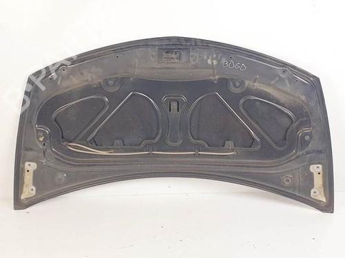 Hood RENAULT CLIO III (BR0/1, CR0/1) 1.5 dCi (BR0H, CR0H, CR1S, BR1S) | BP19137214C1 