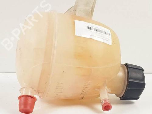 Expansion tank DACIA SANDERO II 1.6 | BP18956299C120 
