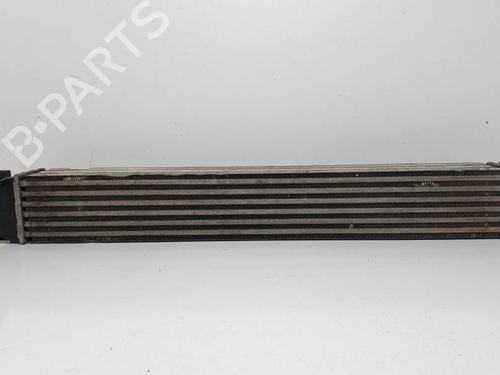 Used Intercooler Intercooler RENAULT MEGANE III Hatchback (BZ0/1_, B3_) 1.2 TCe (BZ2B, BZ11) (116 hp) 25140835 25140835