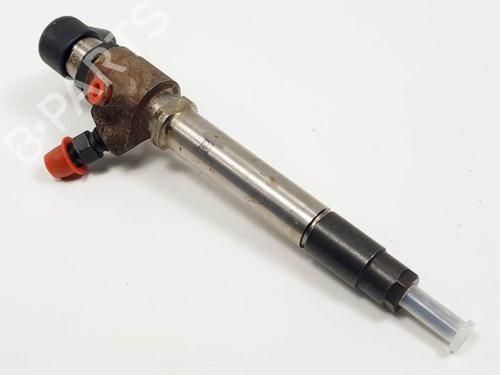 Used Injector JAGUAR S-TYPE II (X200) 2.7 D (207 hp) 25139525