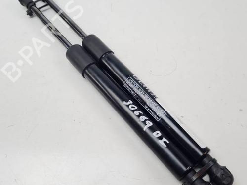 Used Hood lift support LAND ROVER RANGE ROVER SPORT I (L320) 3.6 D 4x4 (272 hp) 28498852