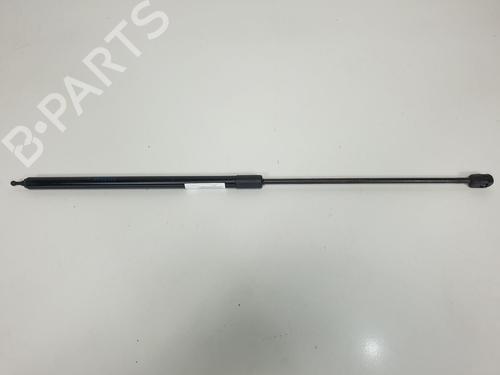Hood lift support RENAULT MEGANE CC (EZ0/1_) 1.4 TCe (EZ0F, EZ1V) BP13953745C139