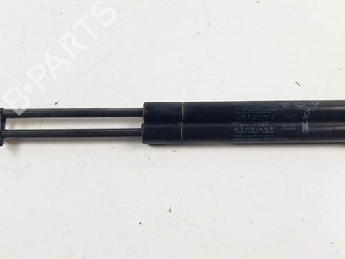 Used Tailgate lift support Tailgate lift support FIAT PANDA VAN (312_, 519_) 1.2 LPG (312CXA1A) (69 hp) 18872520 18872520