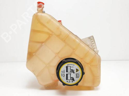 Used Expansion tank FORD ECOSPORT 1.0 EcoBoost (125 hp) 16569188