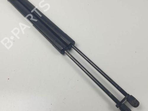 Used Tailgate lift support FORD TOURNEO COURIER B460 MPV 1.0 EcoBoost (100 hp) 24930625
