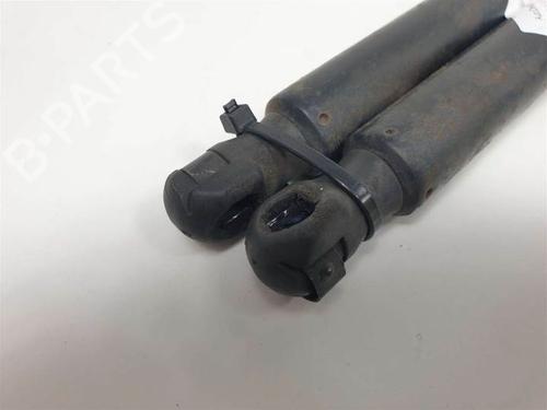 Tailgate lift support OPEL ZAFIRA / ZAFIRA FAMILY B (A05) 1.9 CDTI (M75) | BP13955647C138 