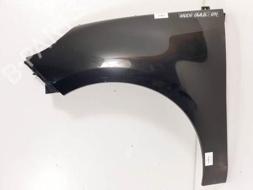 Used Left front fenders RENAULT SCÉNIC III (JZ0/1_) 1.9 dCi (JZ0J, JZ1J, JZ1K, JZ1S) (131 hp) 28065802