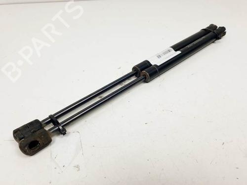 Tailgate lift support CHEVROLET AVEO / KALOS Hatchback (T250, T255) 1.2 | BP16495425C138 