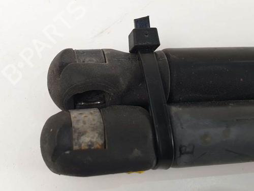 Tailgate lift support FORD FIESTA V (JH_, JD_) 1.4 16V | BP13953014C138 